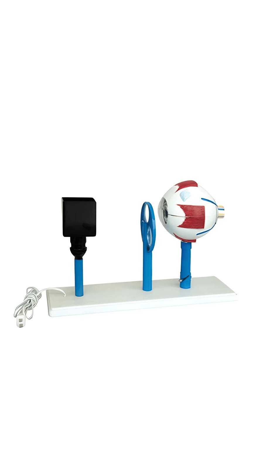 logoหุ่นจำลองการทำงานของตา